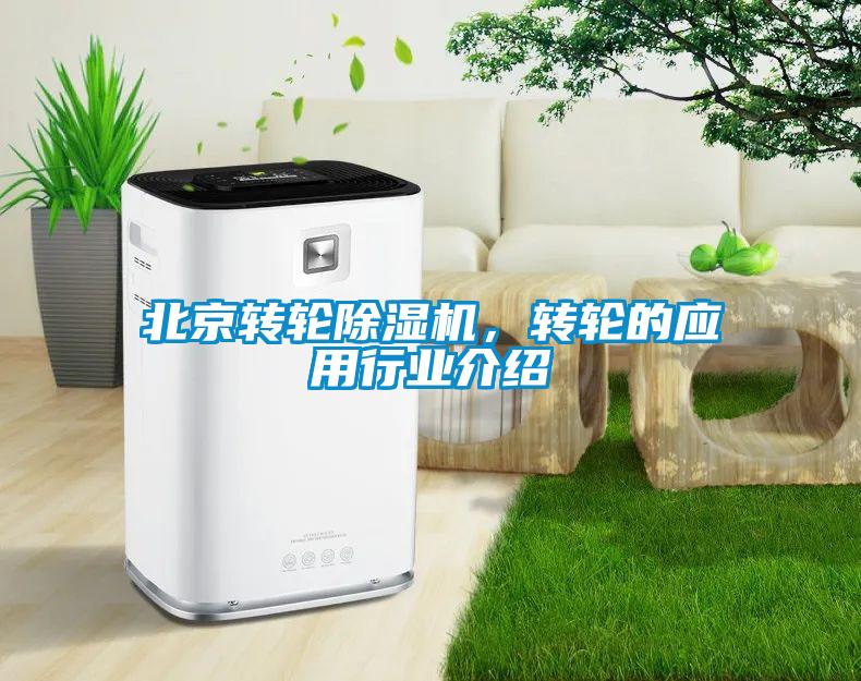 北京转轮樱桃TV在线观看机，转轮的应用行业介绍