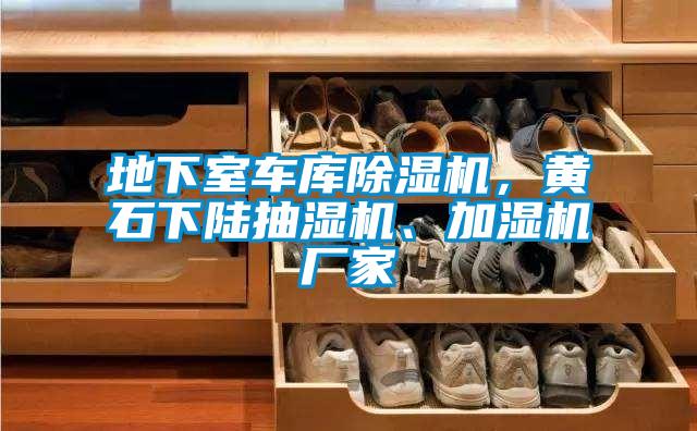 地下室车库樱桃TV在线观看机，黄石下陆抽湿机、加湿机厂家