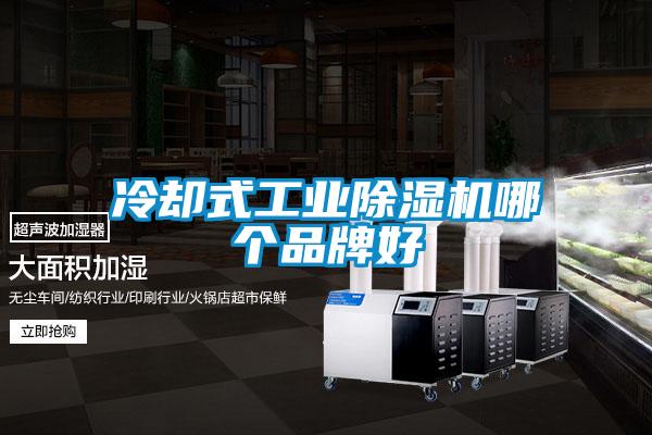 冷却式工业樱桃TV在线观看机哪个品牌好