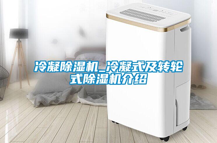 冷凝樱桃TV在线观看机_冷凝式及转轮式樱桃TV在线观看机介绍