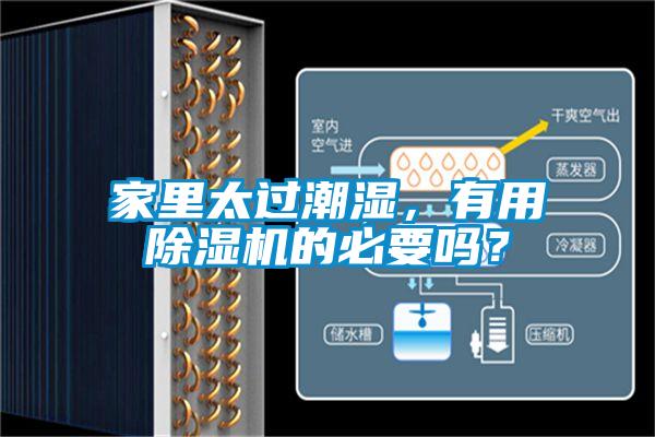 家里太过潮湿，有用樱桃TV在线观看机的必要吗？