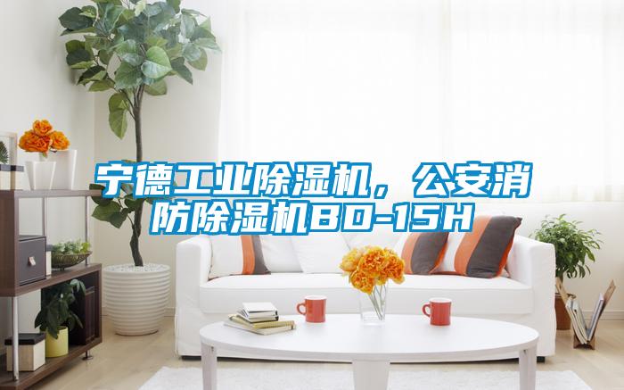 宁德工业樱桃TV在线观看机，公安消防樱桃TV在线观看机BD-15H