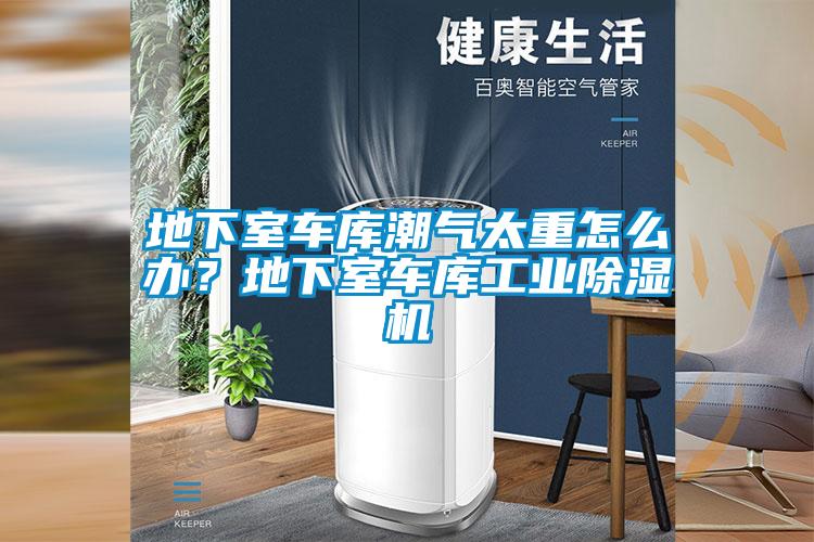 地下室车库潮气太重怎么办？地下室车库工业樱桃TV在线观看机