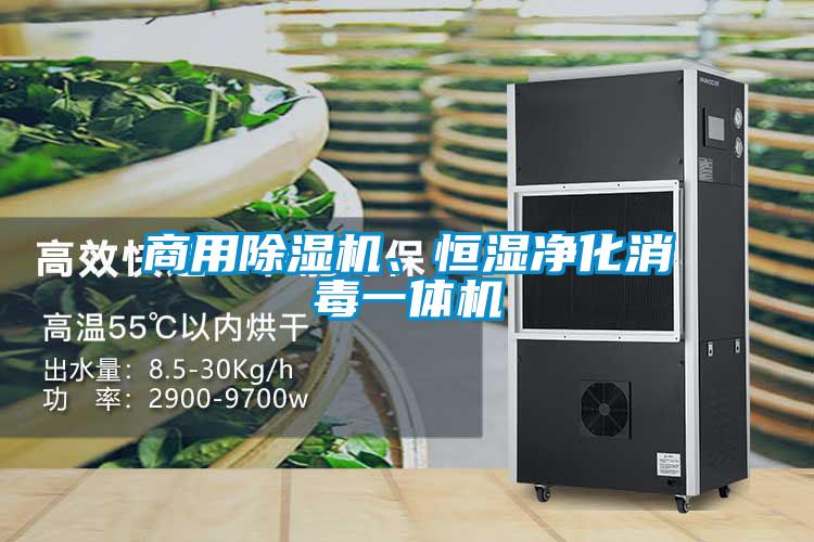 商用樱桃TV在线观看机、恒湿净化消毒一体机