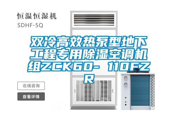 双冷高效热泵型地下工程专用樱桃TV在线观看空调机组ZCK60- 110FZR