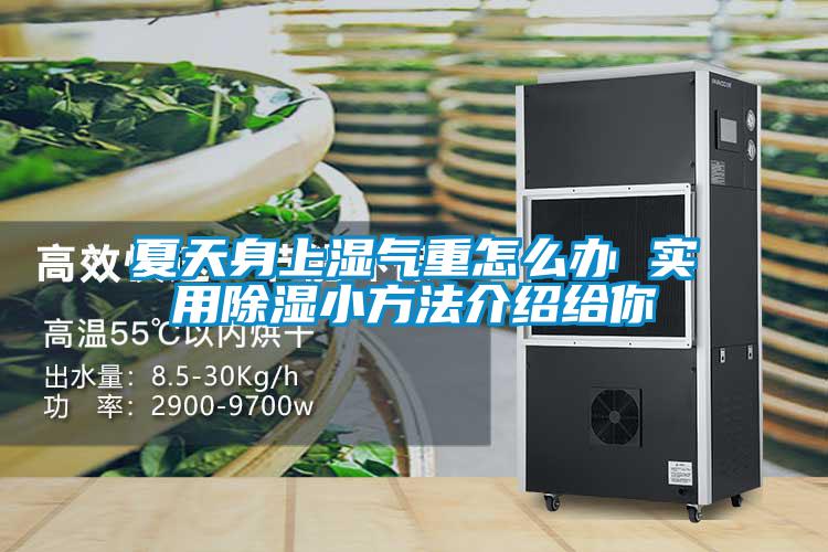 夏天身上湿气重怎么办 实用樱桃TV在线观看小方法介绍给你