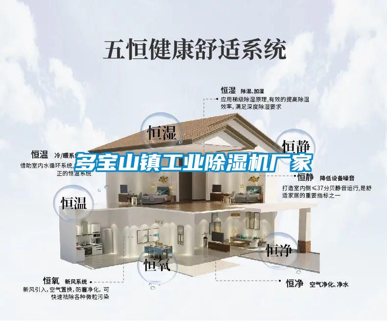 多宝山镇工业樱桃TV在线观看机厂家