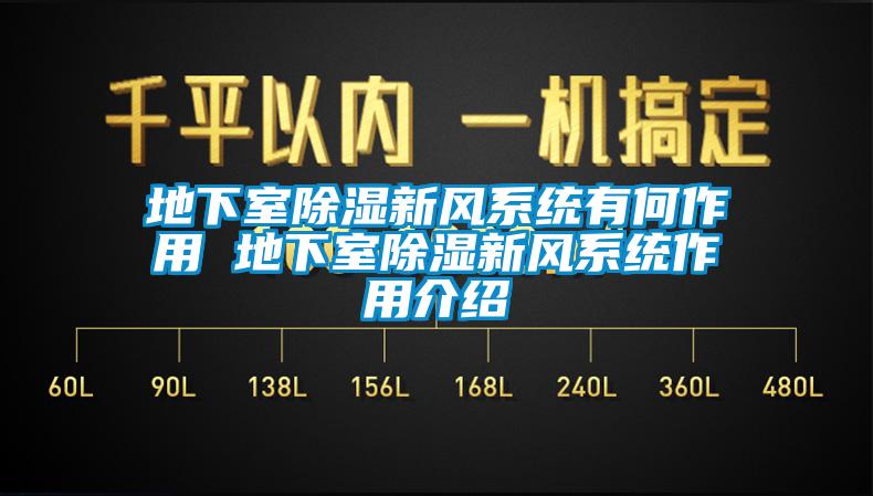 地下室樱桃TV在线观看新风系统有何作用 地下室樱桃TV在线观看新风系统作用介绍