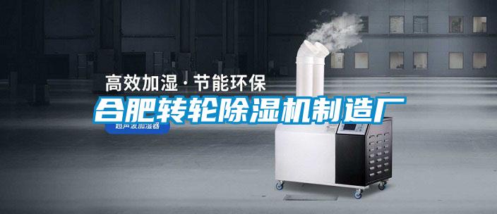 合肥转轮樱桃TV在线观看机制造厂