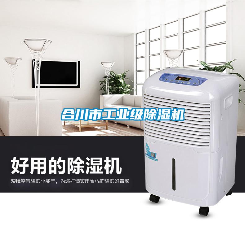 合川市工业级樱桃TV在线观看机