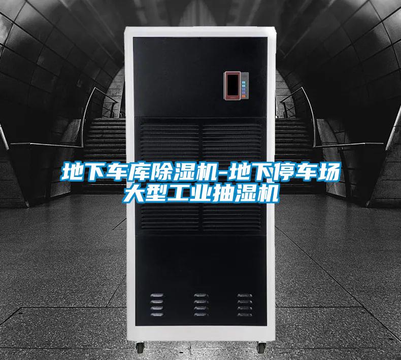 地下车库樱桃TV在线观看机-地下停车场大型工业抽湿机