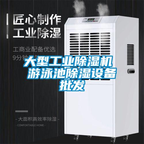 大型工业樱桃TV在线观看机 游泳池樱桃TV在线观看设备批发