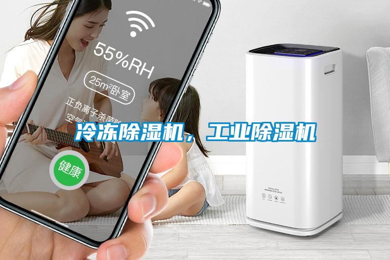 冷冻樱桃TV在线观看机，工业樱桃TV在线观看机