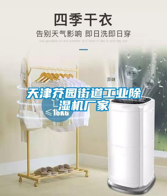 天津芥园街道工业樱桃TV在线观看机厂家