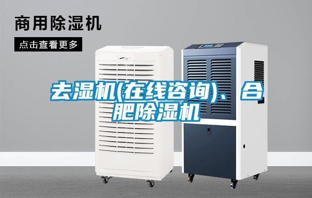 去湿机(在线咨询)、合肥樱桃TV在线观看机