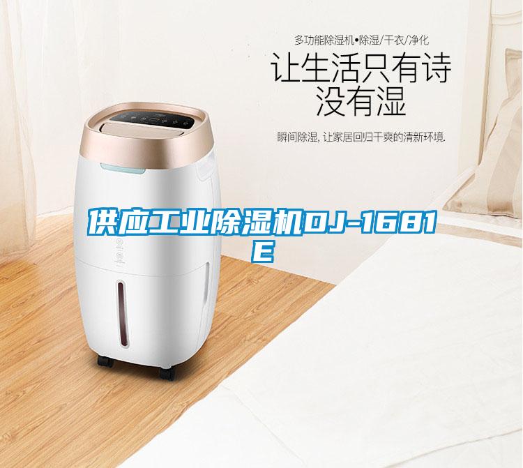 供应工业樱桃TV在线观看机DJ-1681E