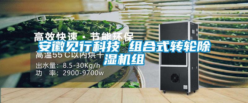 安徽见行科技 组合式转轮樱桃TV在线观看机组