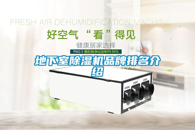 地下室樱桃TV在线观看机品牌排名介绍