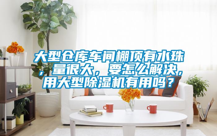 大型仓库车间棚顶有水珠，量很大，要怎么解决，用大型樱桃TV在线观看机有用吗？