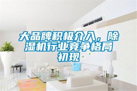 大品牌积极介入，樱桃TV在线观看机行业竞争格局初现
