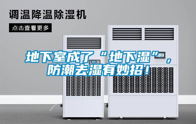 地下室成了“地下湿”，防潮去湿有妙招！