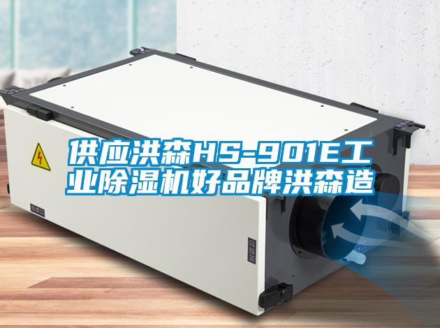 供应洪森HS-901E工业樱桃TV在线观看机好品牌洪森造
