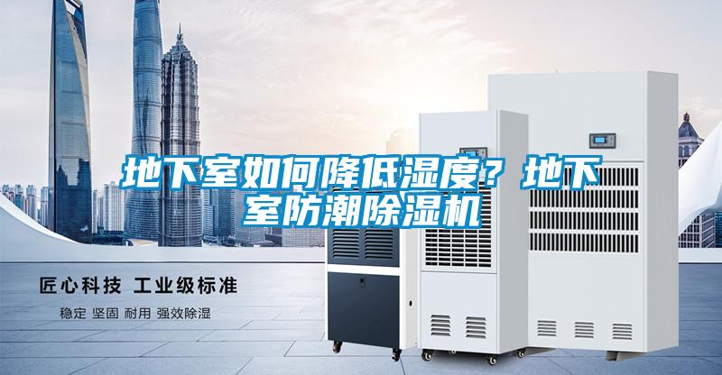 地下室如何降低湿度？地下室防潮樱桃TV在线观看机