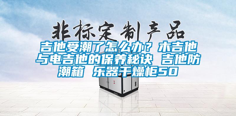 吉他受潮了怎么办？木吉他与电吉他的保养秘诀 吉他防潮箱 乐器干燥柜50