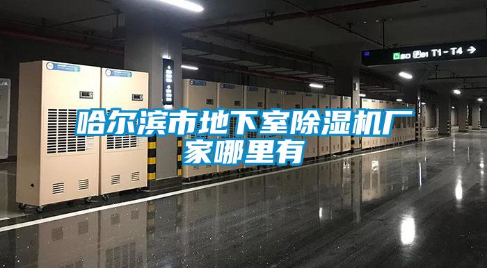 哈尔滨市地下室樱桃TV在线观看机厂家哪里有