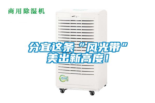 分宜这条“风光带”美出新高度！