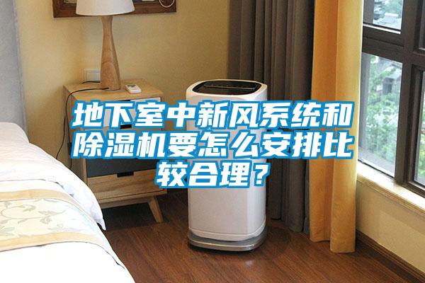 地下室中新风系统和樱桃TV在线观看机要怎么安排比较合理？