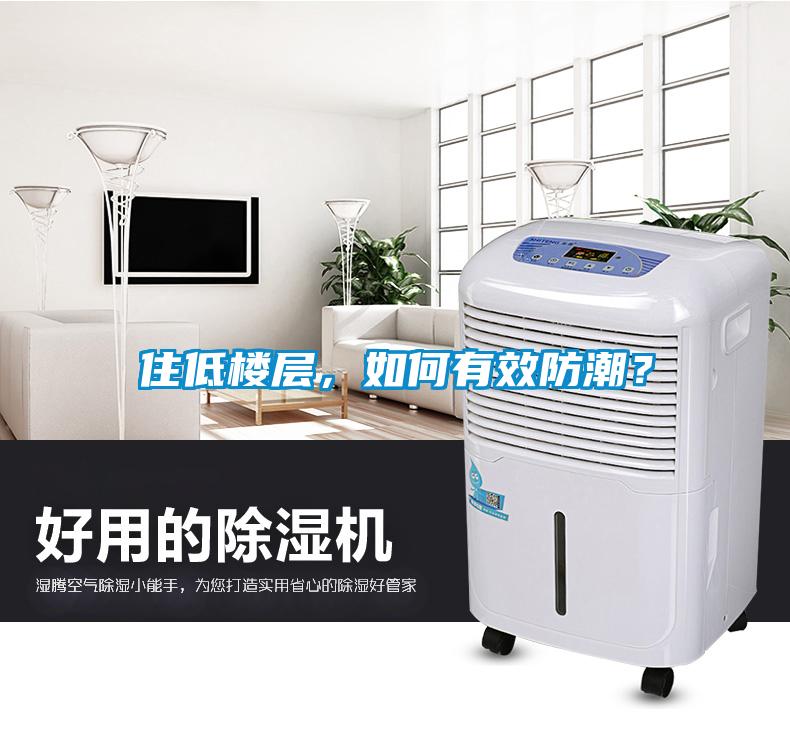 住低楼层，如何有效防潮？