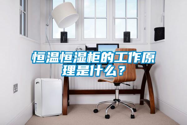 恒温恒湿柜的工作原理是什么？
