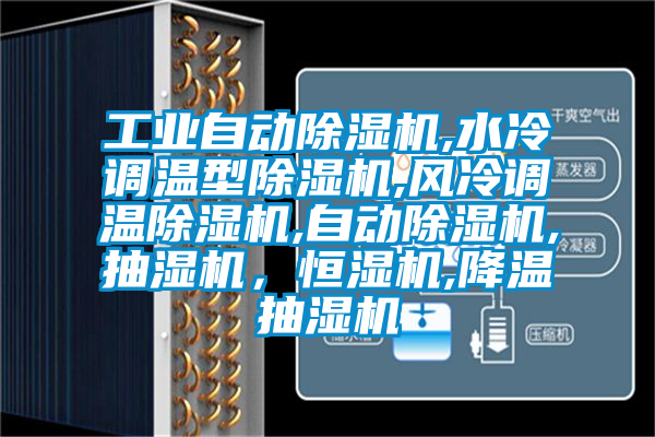 工业自动樱桃TV在线观看机,水冷调温型樱桃TV在线观看机,风冷调温樱桃TV在线观看机,自动樱桃TV在线观看机,抽湿机，恒湿机,降温抽湿机