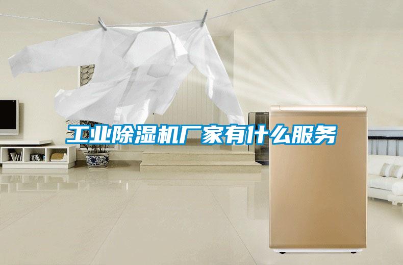 工业樱桃TV在线观看机厂家有什么服务