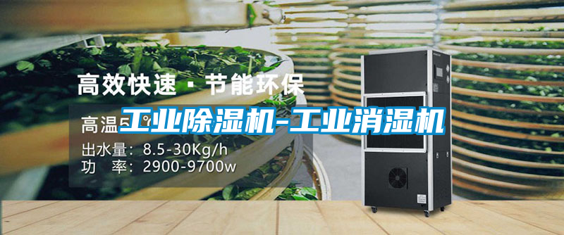 工业樱桃TV在线观看机-工业消湿机