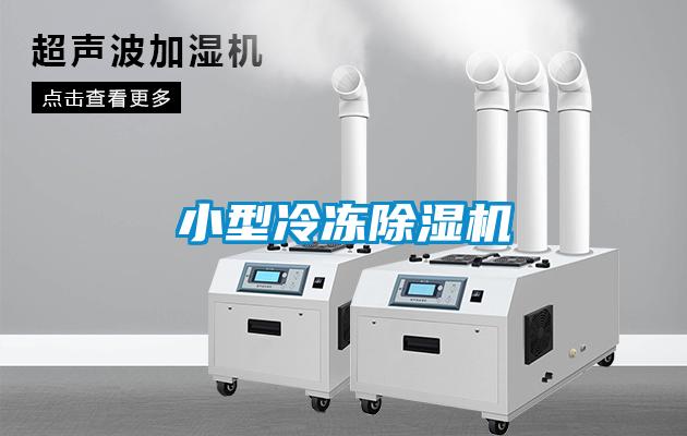 小型冷冻樱桃TV在线观看机