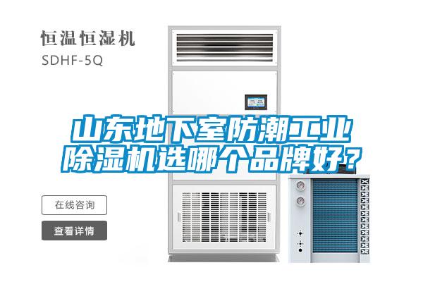 山东地下室防潮工业樱桃TV在线观看机选哪个品牌好？