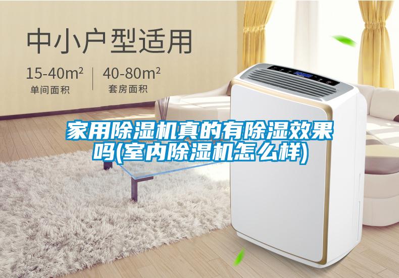 家用樱桃TV在线观看机真的有樱桃TV在线观看效果吗(室内樱桃TV在线观看机怎么样)