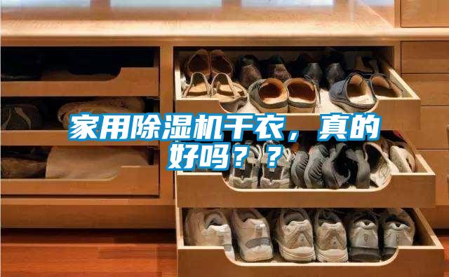家用樱桃TV在线观看机干衣，真的好吗？？