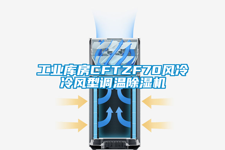 工业库房CFTZF70风冷冷风型调温樱桃TV在线观看机