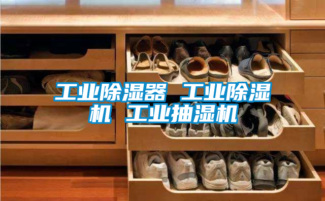 工业樱桃TV在线观看器 工业樱桃TV在线观看机 工业抽湿机