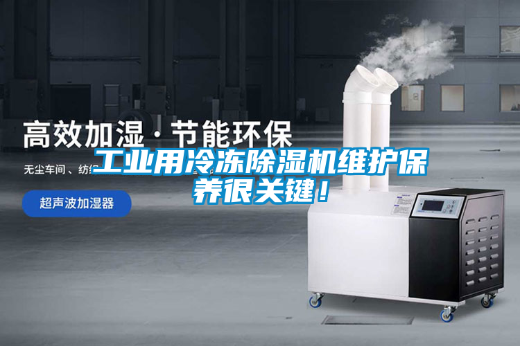 工业用冷冻樱桃TV在线观看机维护保养很关键！