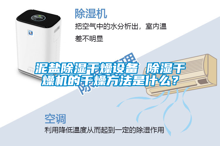 泥盐樱桃TV在线观看干燥设备 樱桃TV在线观看干燥机的干燥方法是什么？