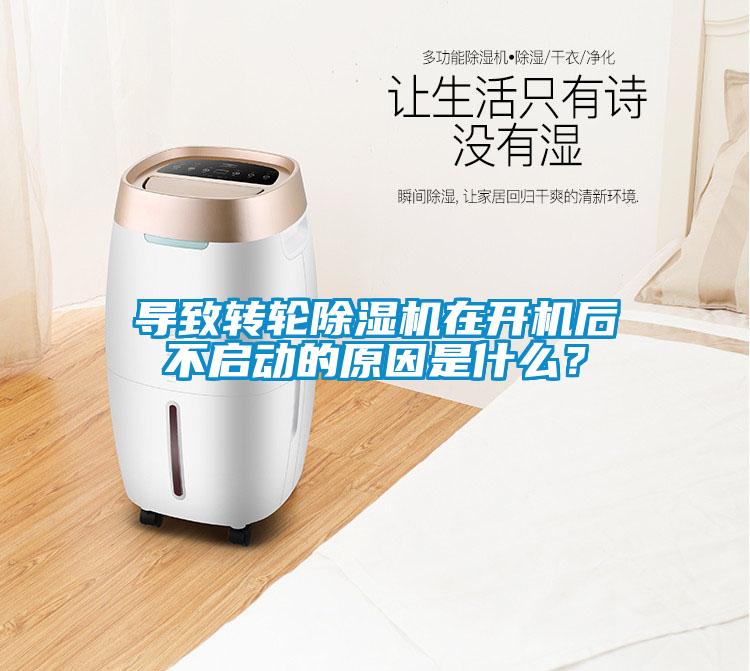导致转轮樱桃TV在线观看机在开机后不启动的原因是什么？