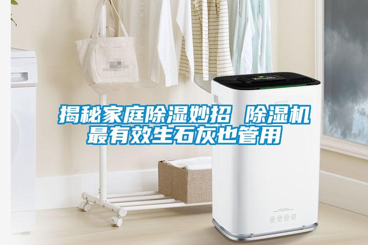揭秘家庭樱桃TV在线观看妙招 樱桃TV在线观看机最有效生石灰也管用