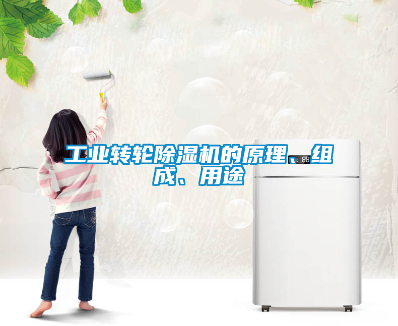 工业转轮樱桃TV在线观看机的原理、组成、用途