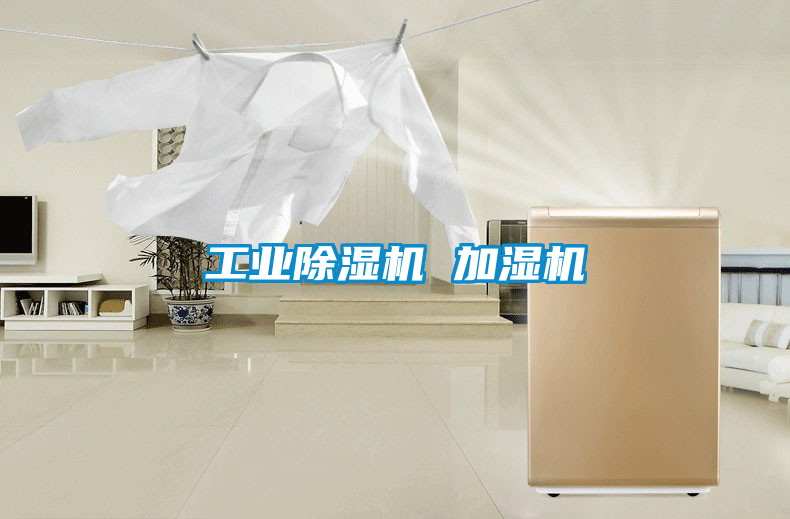 工业樱桃TV在线观看机 加湿机