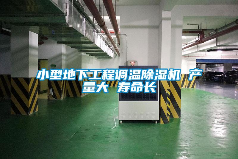 小型地下工程调温樱桃TV在线观看机 产量大 寿命长