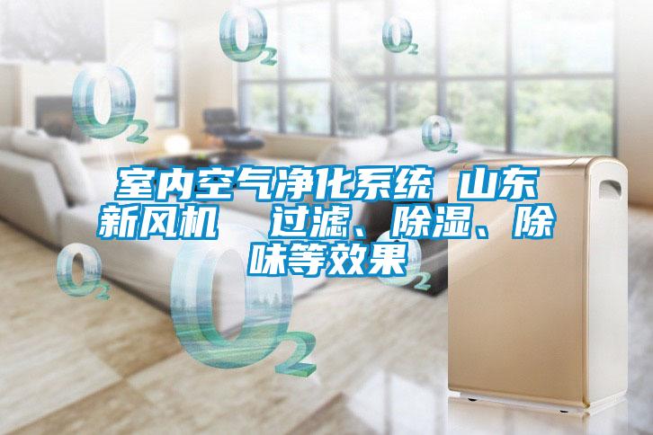 室内空气净化系统 山东新风机  过滤、樱桃TV在线观看、除味等效果